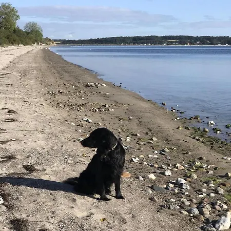 Lander - 20m From The Sea By Interhome *