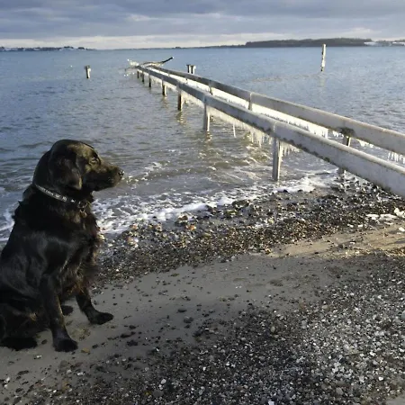 Prázdninový dům Lander - 20m From The Sea By Interhome