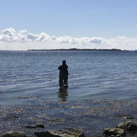 Lander - 20m From The Sea By Interhome * 哈泽斯莱乌