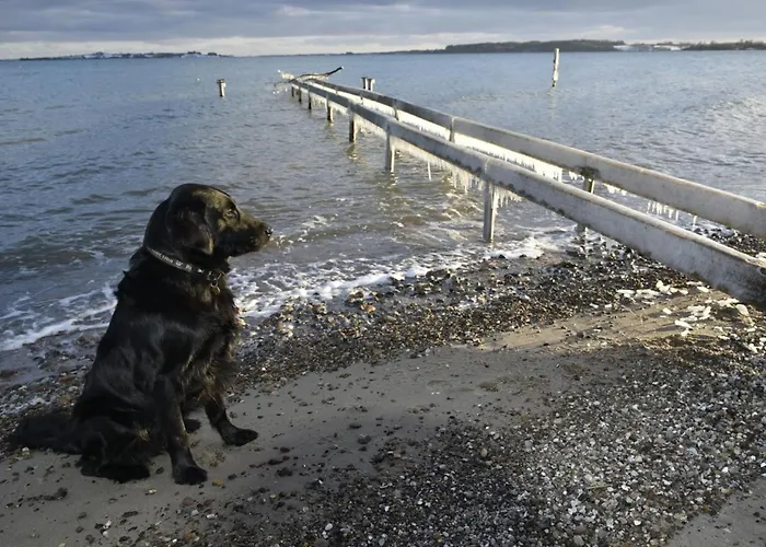 Semesterbostad Lander - 20m From The Sea By Interhome Haderslev