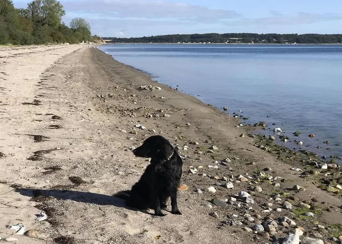 Lander - 20m From The Sea By Interhome * Haderslev