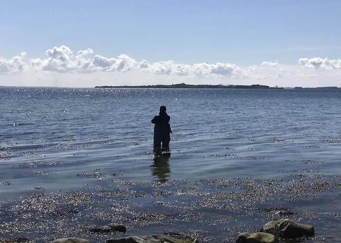 Lander - 20m From The Sea By Interhome * Haderslev